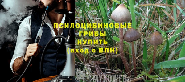 шишки Ступино