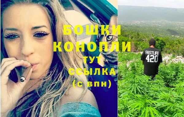 стафф Чердынь