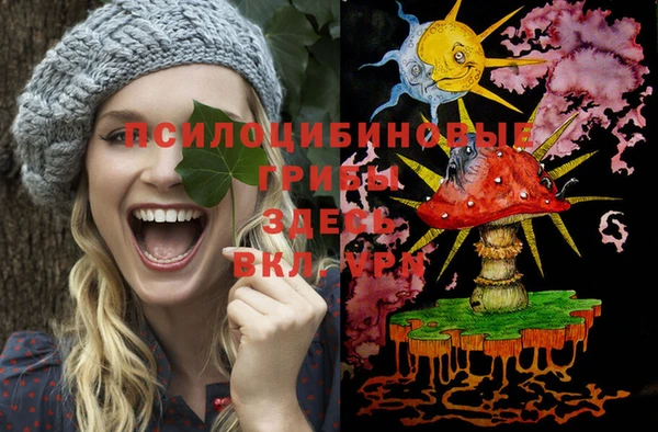 дживик Струнино