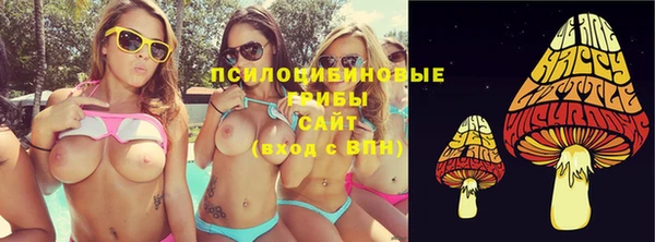 шишки Ступино