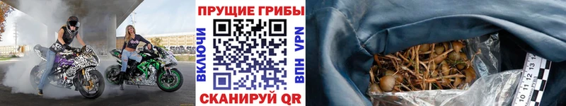площадка клад  МЕГА как войти  Яровое  даркнет сайт  Псилоцибиновые грибы Magic Shrooms 